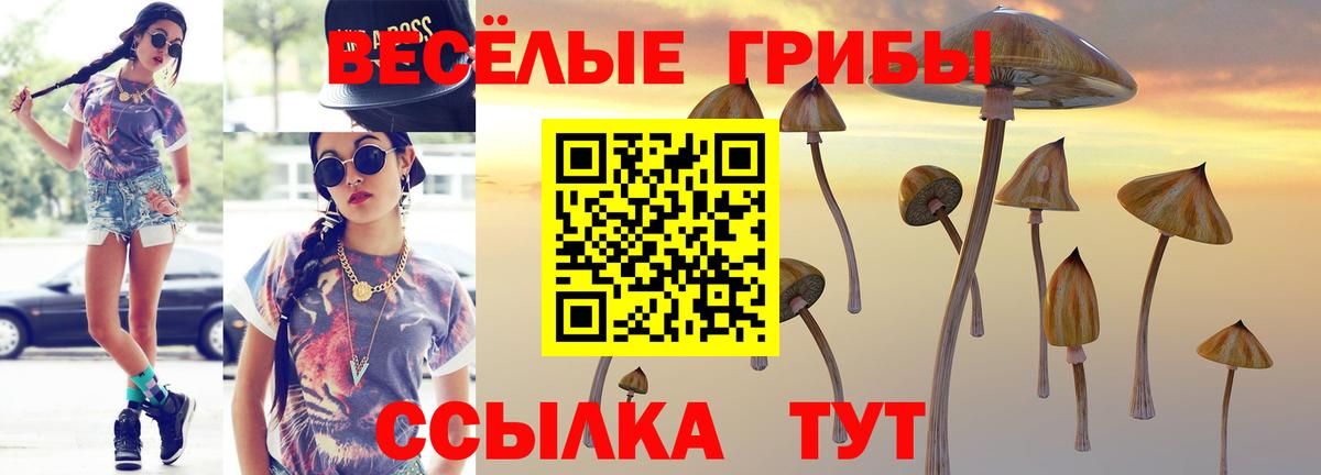 Галлюциногенные грибы Psilocybine cubensis Кунгур