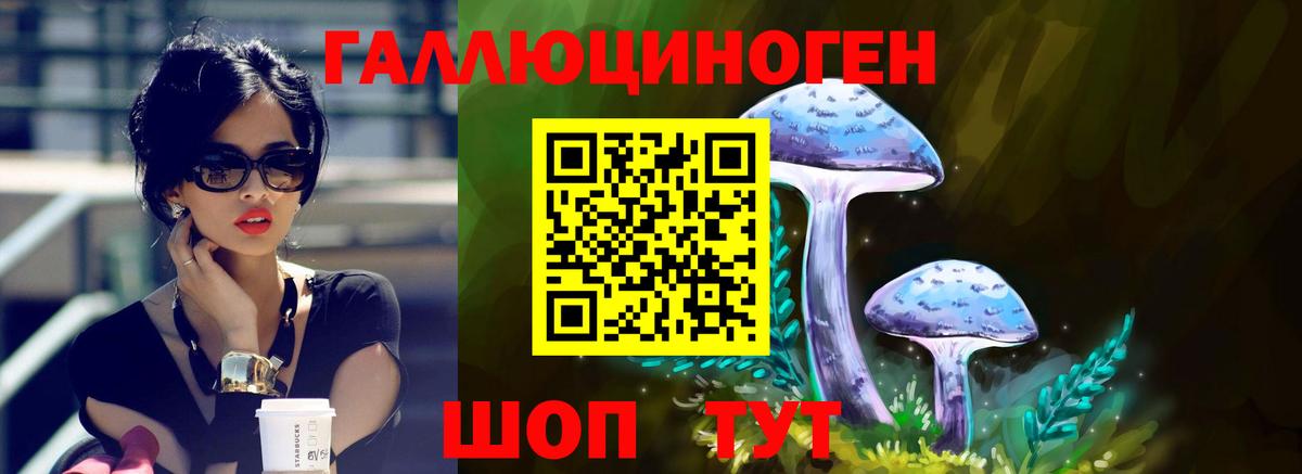 Псилоцибиновые грибы Magic Shrooms  наркота  Кунгур  Вход с VPN 